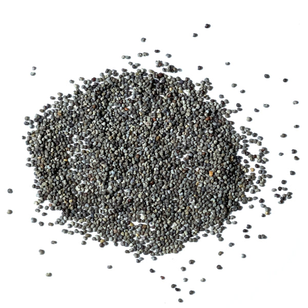 Hens and Chicks Poppy Seeds For Planting (Papaver somniferum)