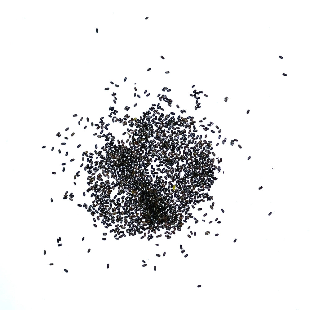 St. Johns Wort Herb Seeds For Planting (Hypericum perforatum)