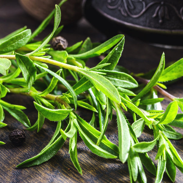 Summer Savory Herb Seeds For Planting (Satureja hortensis)
