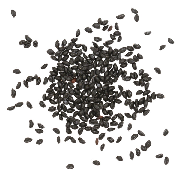 Giant Star, Mckana's Columbine Seeds For Planting (Aquilegia caerulea)