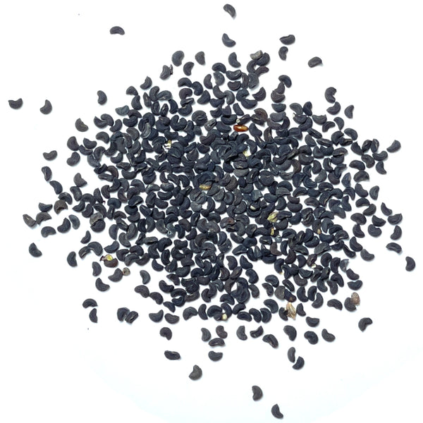 Rue Herb Seeds For Planting (Ruta graveolens)