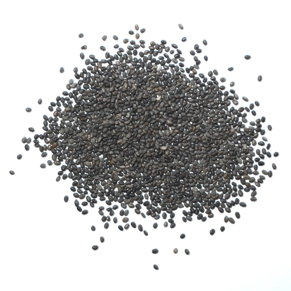 Sapphire Sage Seeds For Planting / Sapphire Salvia (Salvia farinacea)