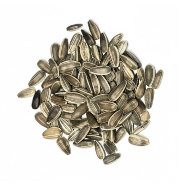 Dwarf Sunspot Sunflower Seeds For Planting (Helianthus annuus)