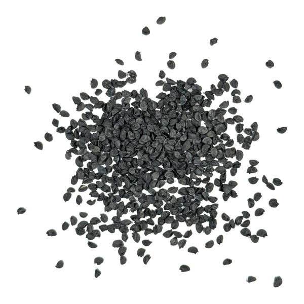 Red Burgundy Onion Seeds For Planting (Allium cepa)