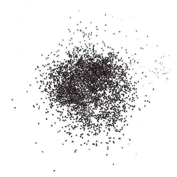 Peppermint Herb Seeds For Planting (Mentha piperita)