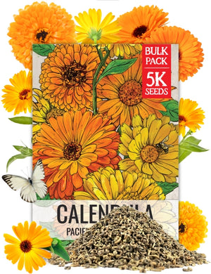 Pacific Beauty Mix Calendula Seeds (Calendula officinalis) BULK Pack
