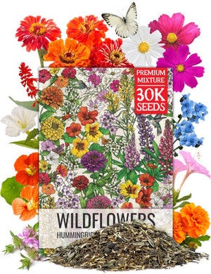 Bird and Butterfly Wildflower Mixture