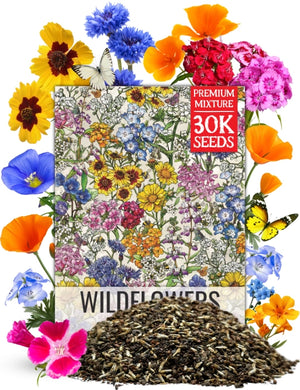 Low Growing Wildflower Mixture