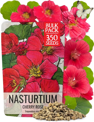 Cherry Rose Nasturtium Seeds For Planting (Tropaeolum minus) BULK Pack