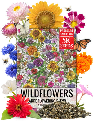 Large Flowering Wildflower Seed Blend (7 Varieties Included)