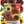 Bulk Sunset Blend Sunflower Seeds For Planting (Helianthus annuus)