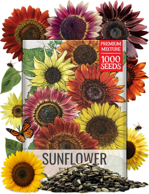 Bulk Sunset Blend Sunflower Seeds For Planting (Helianthus annuus)