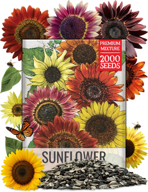 Bulk Sunset Blend Sunflower Seeds For Planting (Helianthus annuus)