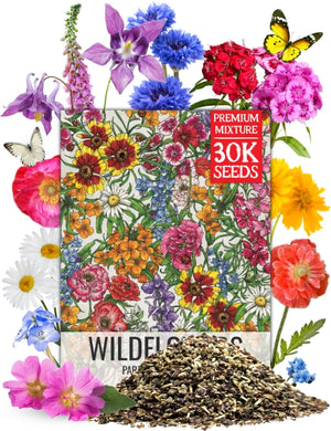 Partial Shade Wildflower Mixture