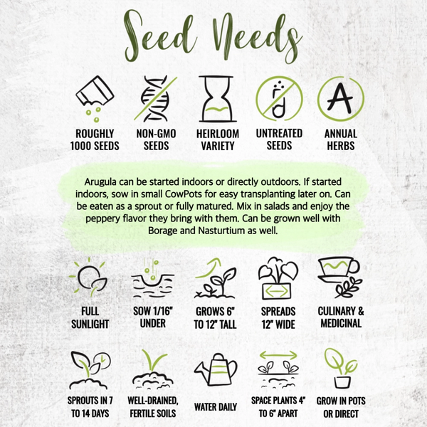 Arugula Herb Seeds For Planting (Eruca sativa)