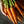 Scarlet Nantes Carrot Seeds For Planting (Daucus carota)