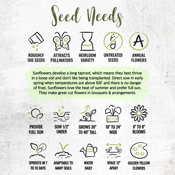 Incredible Dwarf Sunflower Seeds For Planting (Helianthus annuus)