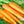 Tendersweet Carrot Seeds For Planting (Daucus carota)