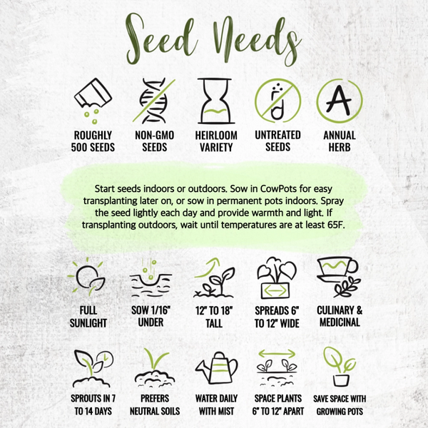 Summer Savory Herb Seeds For Planting (Satureja hortensis)