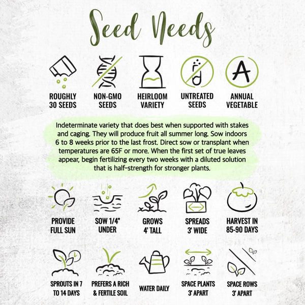 Beefsteak Tomato Seeds For Planting (Lycopersicon esculentum)