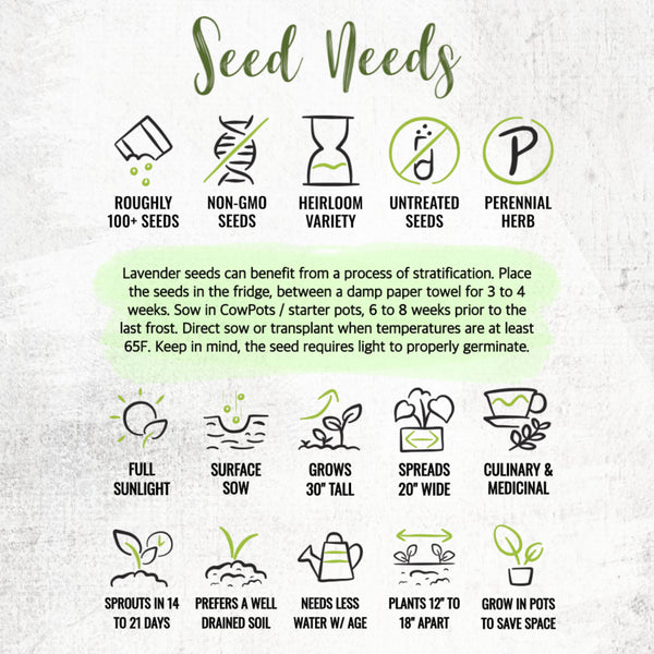 Lavender Seed Packet Favors (FAV-010)