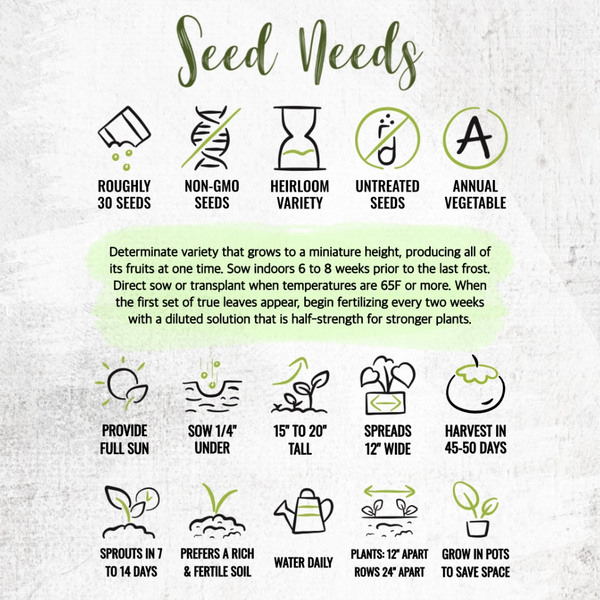 tomato seed planting time Tiny Tim Tomato Seeds For Planting (Lycopersicon esculentum) – Seed Needs LLC