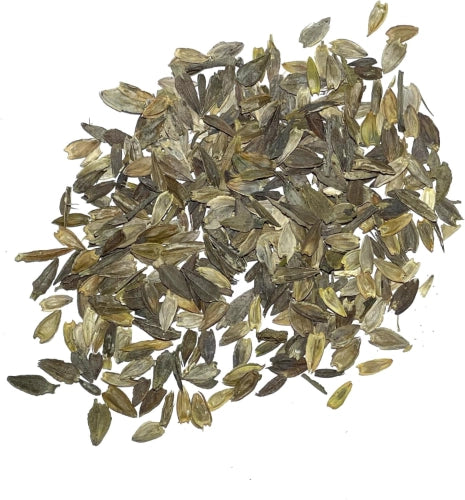 Mega Zinnia Seed Collection