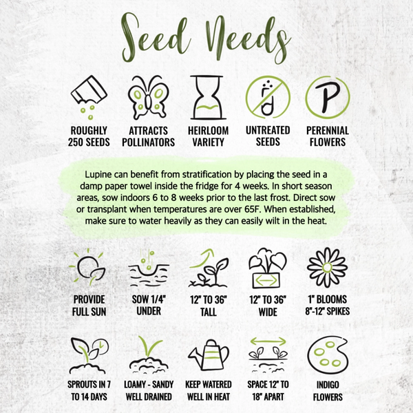 lupine seed planting instructions Wild Perennial Lupine Seeds For Planting (Lupinus perennis) – Seed Needs LLC