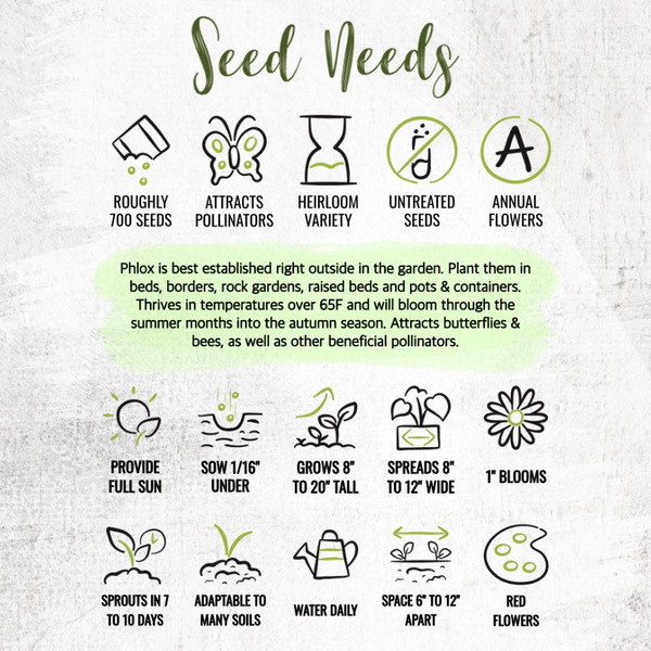 Red Drummond Phlox Seeds For Planting (Phlox Drummondii)