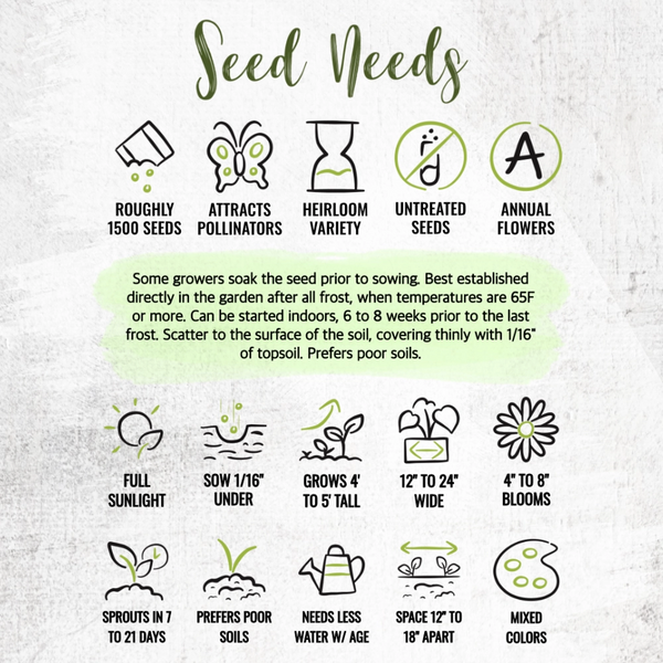 Cleome Seeds For Planting, Spider Mixture (Cleome hassleriana)