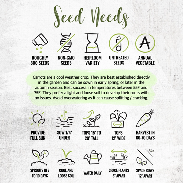 Paris Market Carrot Seeds For Planting (Daucus carota)