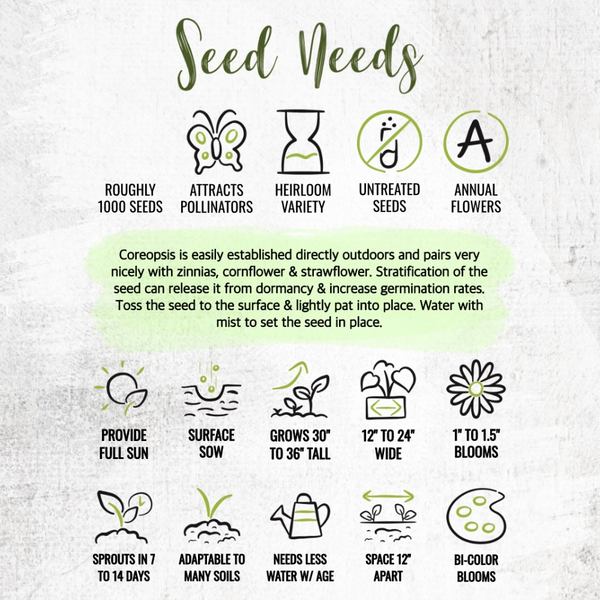 Coreopsis Plains Seeds For Planting (Coreopsis tinctoria)