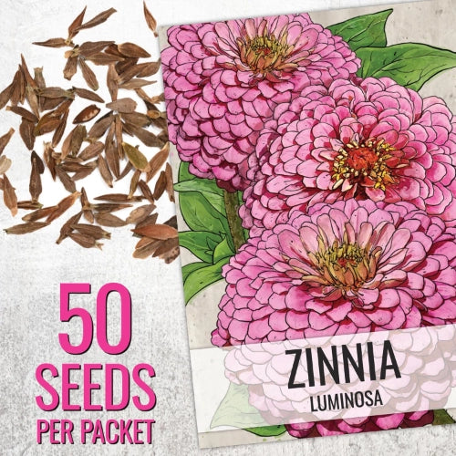 Mega Zinnia Seed Collection