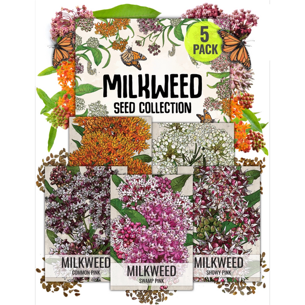 Milkweed Seed Collection