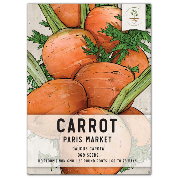 Paris Market Carrot Seeds For Planting (Daucus carota)