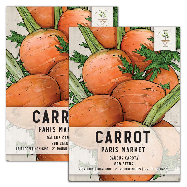 Paris Market Carrot Seeds For Planting (Daucus carota)