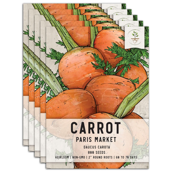 Paris Market Carrot Seeds For Planting (Daucus carota)