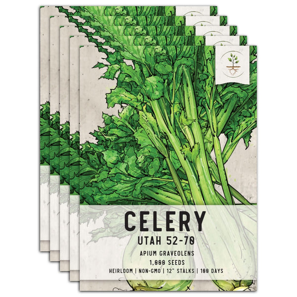 Utah 52-70 Celery Seeds For Planting (Apium graveolens)