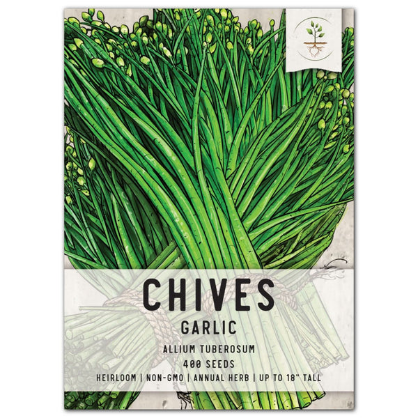 Garlic Chives Herb Seeds For Planting (Allium tuberosum)