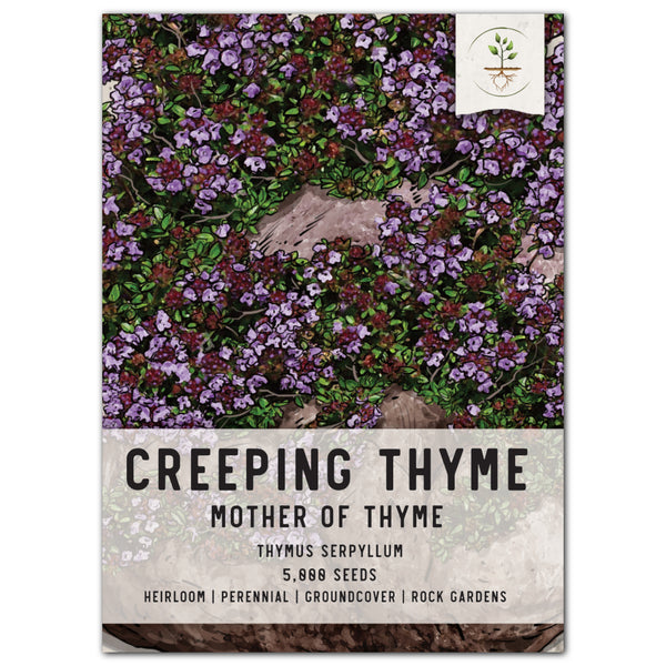 Mother of Thyme, Creeping Thyme Seeds For Planting (Thymus serpyllum)