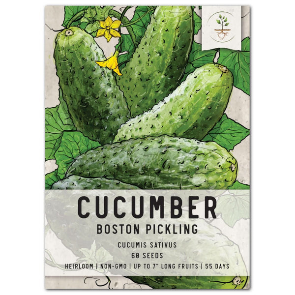 cucumber plant seed Boston Pickling Cucumber Seeds For Planting (Cucumis sativus) – Seed Needs LLC