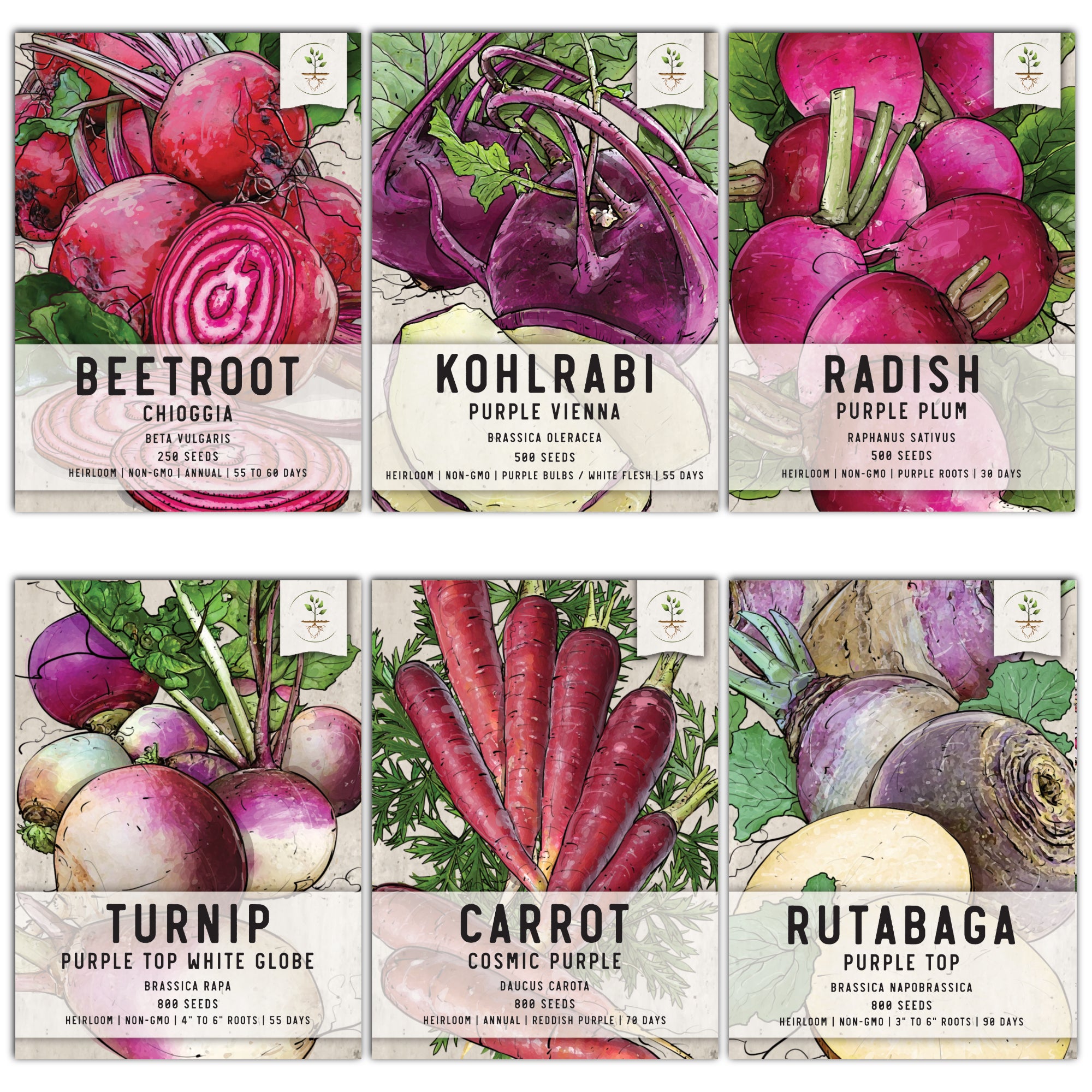 Edible Roots & Bulbs Collection (3,650 Seeds Collectively)
