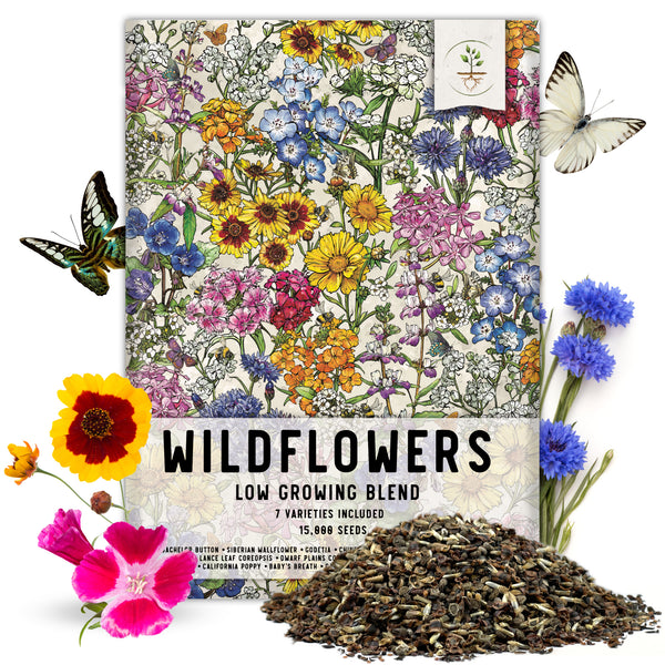 Low Growing Wildflower Mixture