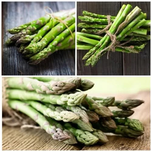 Mary Washington Asparagus Seeds For Planting (Asparagus officinalis)