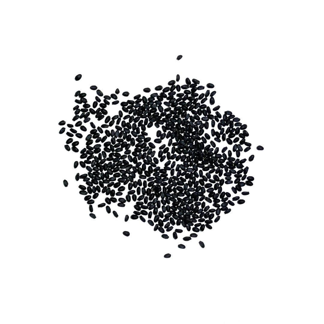 Lime Basil Seeds For Planting (Ocimum x citriodorum) Seed Needs LLC