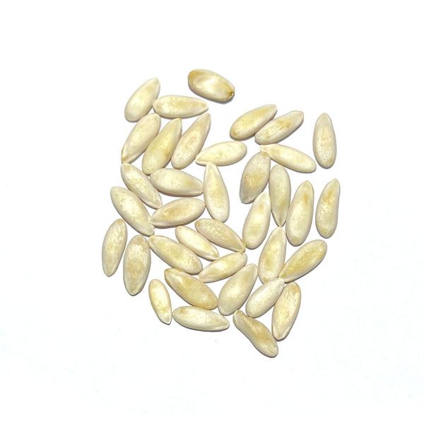 Tigger Melon Seeds For Planting (Cucumis melo)