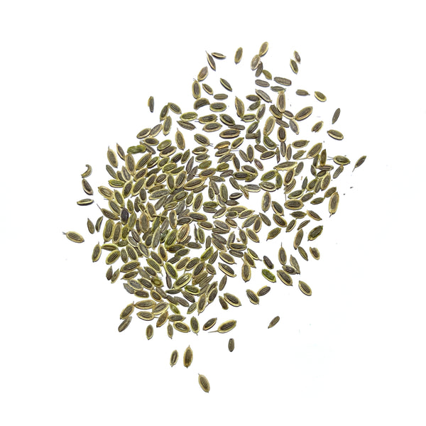 Dill Herb Seeds For Planting (Anethum graveolens)