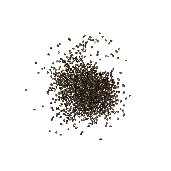asian plant seeds Chinese Houses Seeds For Planting (Collinsia heterophylla) – Seed Needs LLC