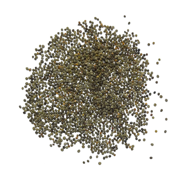 Mixed California Poppy Seeds For Planting (Eschscholzia californica)