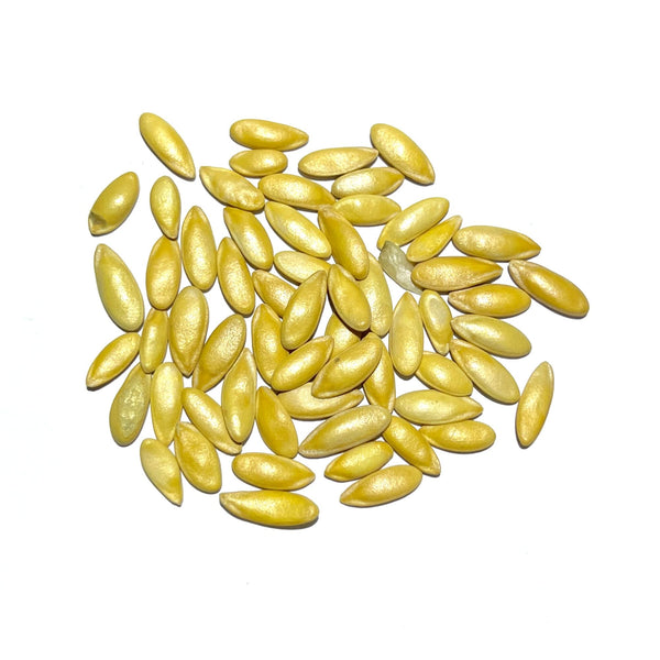 plant melon seeds Green Honeydew Melon Seeds For Planting (Cucumis melo) – Seed Needs LLC